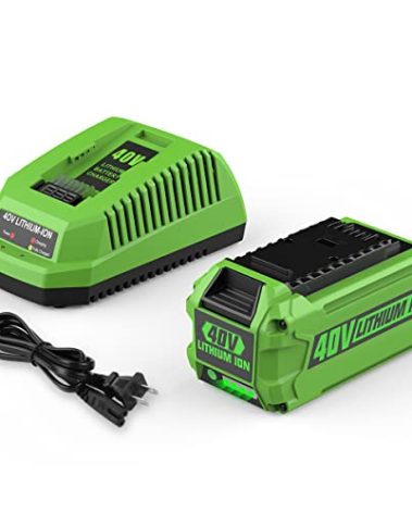 AYTXTG 40V 6.5Ah 29462 29472 Replacement for Greenworks 40 Volt Battery and Charger 29482 Compatible with Greenworks 40V Lithium-Ion Battery 29252 20202 22262 40 Volt G-MAX