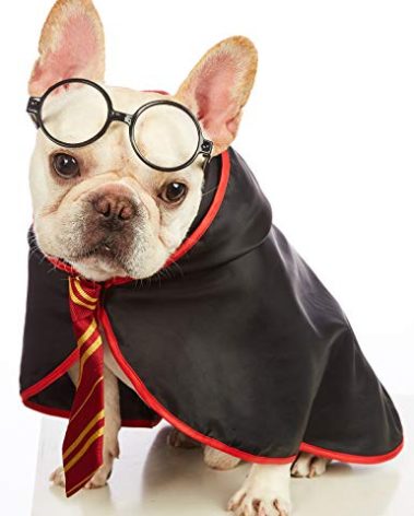 Impoosy Pet Halloween Dog Hoodies Funny Cat Wizard Costume Cute Apparel Soft Shirts Clothes with Glasses (X-Large,Neck:21")