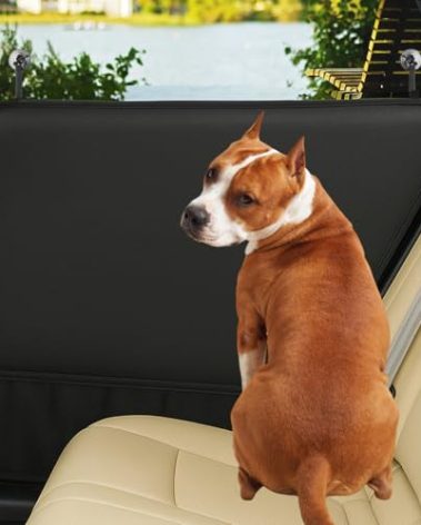 fidozen Dog Car Door Protector - 2 Pack Durable & Universal Fit Anti-Scratch Waterproof Vehicle Door Covers, Guards Your Car from Dog Scratching, Essential Accessories for SUV Interiors,Black