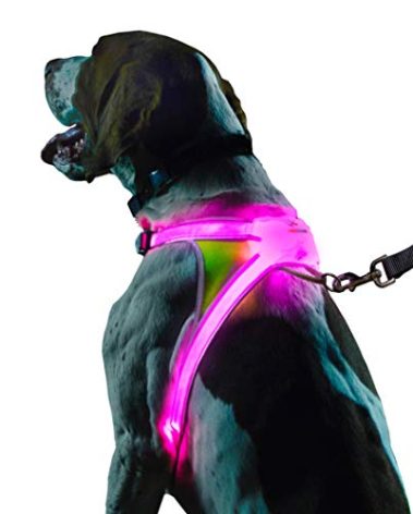 Noxgear LightHound – Revolutionary Illuminated and Reflective Harness for Dogs Including Multicolored LED Fiber Optics (USB Rechargeable, Adjustable, Lightweight, Rainproof) (Large)