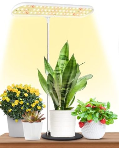 FOXGARDEN Grow Light, Full Spectrum Desktop Grow Lamp with Base, Bright LED Plant Light with Auto On/Off Timer 4/8/12H, 4 Dimmable Brightness, Height Adjustable, Ideal for Indoor Plants