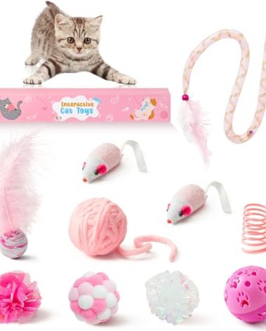 MALLMALL6 10Pcs Cat Toy Set Interactive Cat Toys Pack Including Feather Teaser Wand Cat Springs Mice Crinkle Balls and Pet Bell Balls, Puzzle Toys for Indoor Cats Gift (Pink)