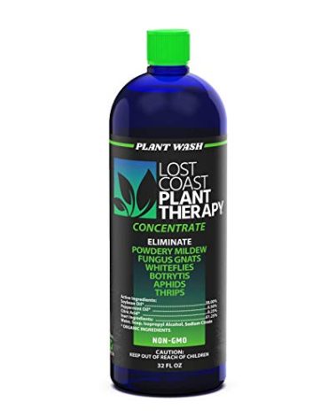 Plant Wash Lost Coast Plant Theraphy Concentrate 32 floz (Packaging May Vary)