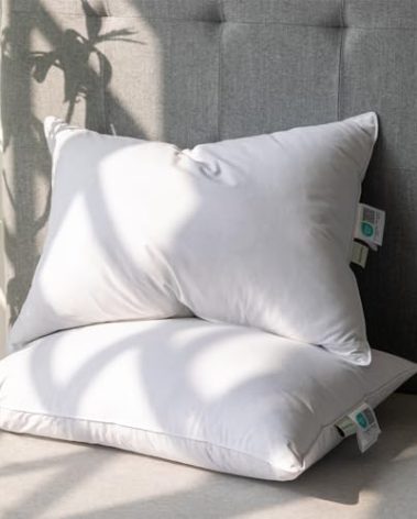 Alanzimo Goose Feathers Down Pillows Standard/Queen Size Set of 2, Luxury Soft Feather Down Pillow for Sleeping, 100% Cotton Cover Hotel Collection Bed Pillows for Back,Stomach or Side Sleepers 20x28