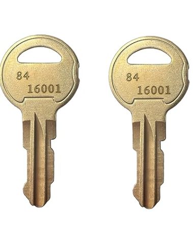 KeyPower (2) 84-16001, 84 16001 Keys for DKS Doorking Lock 4001-055