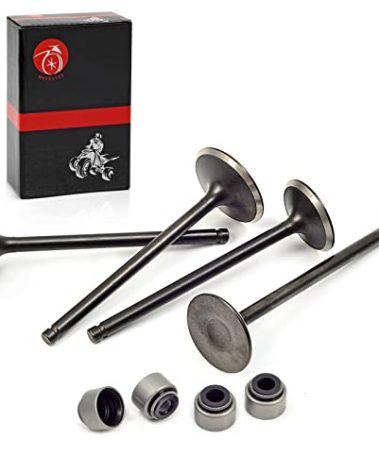 Intake & Exhaust Valves and Seal For Polaris Predator 500 2003-2007 Outlaw 500 2006-2007 3087982 3087981