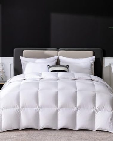 LESNNCIER Luxury Goose Feathers Down Comforter Queen Size, 750 FP Fluffy All Season Duvet Insert Queen, Ultra-Soft Hotel Bedding Comforter with Sorona Fill (White, 90x90 Inches)