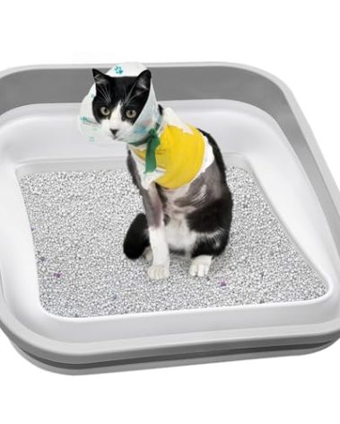 Maohegou Senior Cat Litter Box, Three Legged Arthritic Open Low Entry for Sick Frail Handicap Disabled Cats, Older Elderly Corner