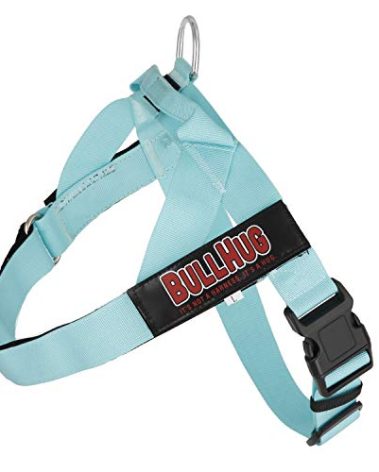 BULLHUG Adjustable Dog Harness– No Pull, No Choke – for English Bulldogs, French Bulldogs, Pugs & Broad-Chested Breeds – Easy, Safe Walks (Tiff Blue, XL)
