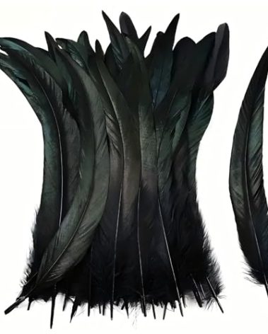 Uparea 60 Pieces 12-14" Natural Black Rooster Tail Feathers for DIY, Costumes, and Halloween Decorations