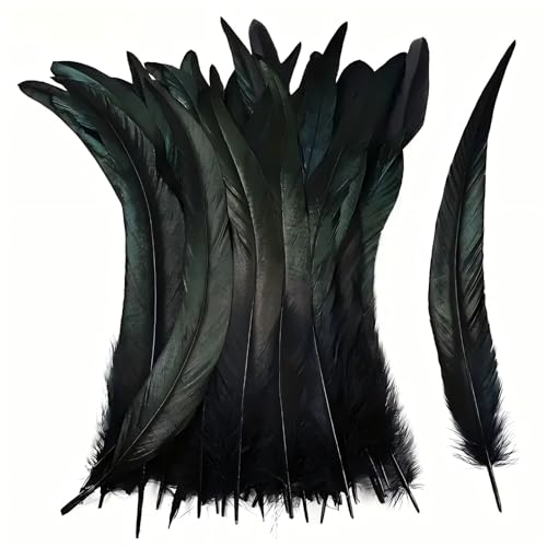 Version 1.0.0 Version 1.0.0