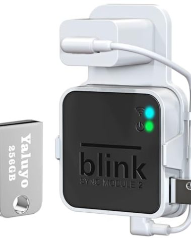 256GB USB Flash Drive& Blink Sync Module 2 Mount, Local Video Storage, Tool-Free Plug-in Installation, Sturdy Holder Wall Mount for Blink Outdoor/Indoor Security Camera (No Blink Sync Module 2)