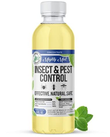 Mighty Mint Peppermint Oil Insect Repellent Concentrate– Natural Indoor & Outdoor Bug Control for Spiders, Ants, Roaches, and More – Plant-Based, Extra-Strong Formula - 8 oz