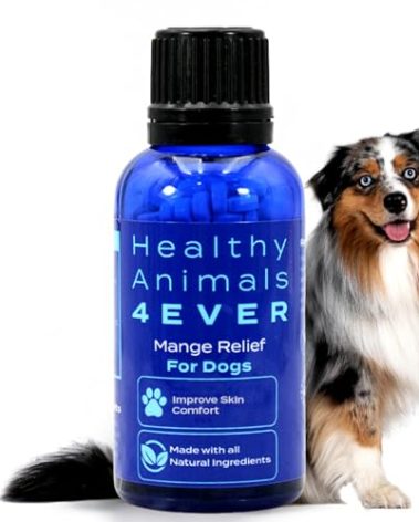 HA4E - Mange Relief for Dogs - Treatment for Itchiness, Scabs, & Hair Loss Caused by Mites - All-Natural, Homeopathic, Non-GMO, Organic, Gluten, Preservative & Chemical Free - 300 Tablets