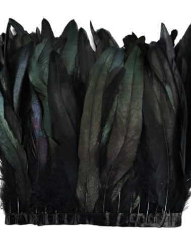 Daieeparty Black Rooster Feather Trim 8-10inch 2.15Yards Natural Large Rooster Tail Feathers Fringe Trim for DIY Sewing Craft Party Clothing,Cape Shawl,Wings,Halloween,Wedding Decoration