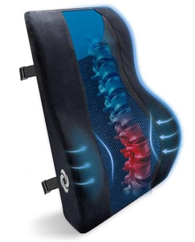 Samsonite Lumbar Support Pillow – Ergonomic Back Rest for Office Chair & Car Seat, Memory Foam Cushion for Lower Back Pain Relief, Breathable Mesh, Adjustable Strap, Black/Blue Mesh
