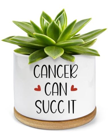 PWHINGN Get Well Gifts for Women - 3.5 inch Ceramic Succulent Planter Pots with Bamboo Tray, Funny and Cheer Up Gifts for Women, Mom and Grandma Plant Lovers (Not Plants)