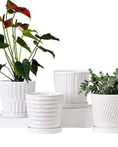 Ton Sin Plant Pots,White 6 Inch Flower Pots for Plants,Ceramic Planter with Drainage Holes,Indoor Planter Pots with Saucer,Outdoor Garden Pots (White, 4 Pack)