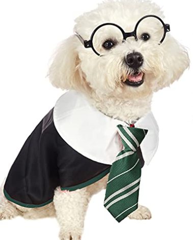 Impoosy Pet Halloween Dog Shirts Funny Cat Wizard Costume Cute Apparel Soft Clothes with Glasses (X-Large,Neck:21")
