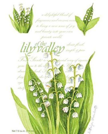 Fresh Scents Scented Sachets - Lily of the Valley, Lot of 6