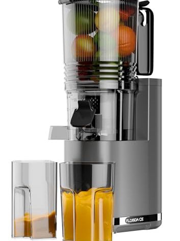 Cold Press Juicer, 6.5" Extra Large Feed Chute Juicer Machines, 350W Slow Masticating Juicer Machines with High Juice Yield for Whole Vegetables & Fruits, BPA Free, Titanium Gray, Easy to Clean