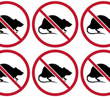 6-2"x2" No Rats Union Decal Pack Labor Vinyl Hard Hat Helmet Sticker Car Bumper Window