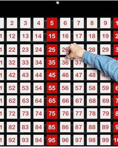 Essex Wares 29" Wide x 27.5" Tall 100 Pocket Chart for Classroom - Hundreds Chart for Classroom for Dynamic Math Education - Number Chart 1-100 for Kids for Wall, Counting Pocket Chart in Black