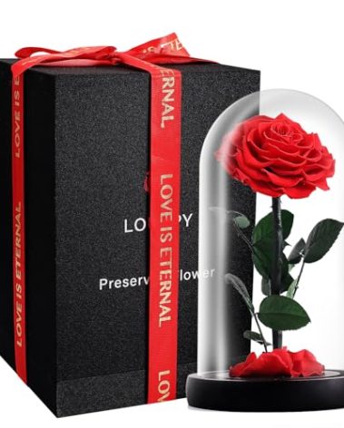LOUVPY Forever Roses - Gifts Idea for Mom - Beauty and The Beast Rose in Glass Dome - Eternal Preserved Rose Flower - Gift for Her,Wife,Girlfriend(Red, 9inch)