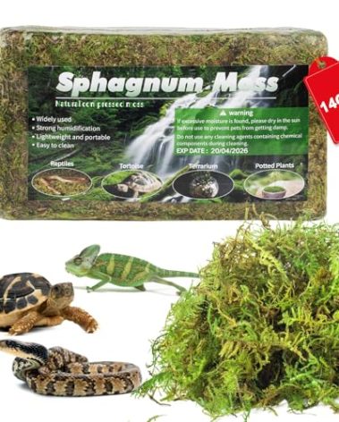 Pakimi 14OZ Sphagnum Moss for Reptiles, Terrarium Natural Green Dried Peat Habitat Bedding Plants for Snakes Gecko Forest Frogs and Turtle Accessories Substrate (50QT)