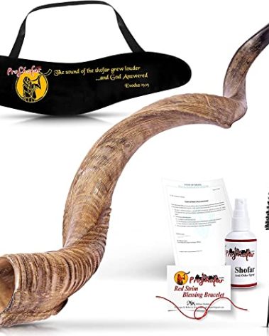 ProShofar Israel Shofar Set, Natural Kudu Horn Shofar, Kosher Yemenite Traditional Musical Instrument for Jewish Spiritual Ceremonies and Religious Sermons