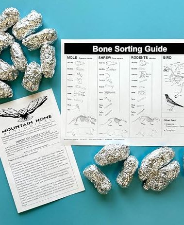 Mountain Home Biological Extra Large barn owl pellets, Pack of 15, with Bone Sorting Sheet