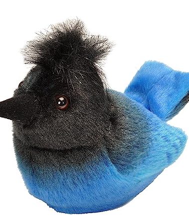 Wild Republic 20003 Audubon Birds Steller's Jay with Authentic Bird Sound, Stuffed Animal, Bird Toys for Kids & Birders