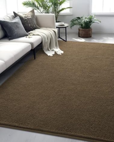 FALARK 5x7 Feet Area Rug for Living Room Bedroom, Light Brown Low Pile Washable Rugs, Memory Foam Indoor Carpet, Modern Non Slip Carpets for Kids Girls Boys Baby Teen Dorm Nursery Home Decor