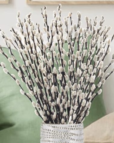 Natural Dried Pussy Willow Branches - 30PCS Real Willow Twigs for Indoor Decor, Easter Spring Arrangements, Wreath Making, and Farmhouse Home Centerpiece