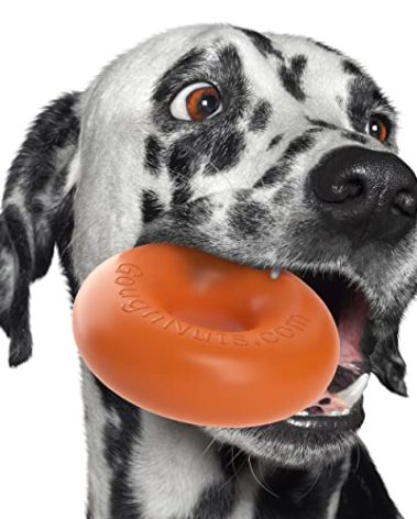 Goughnuts — Dog Toys for Aggressive Chewers | Virtually Indestructible Dog Toys for Medium Breeds Such as Pit Bulls | Heavy Duty Dog Toy | Orange