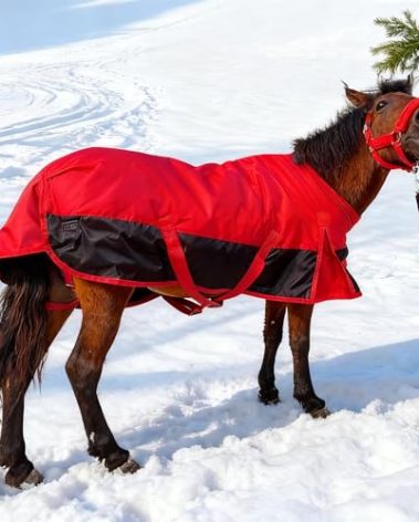 Mini Horse/Pony/Foal/Miniature1600 Denier Horse Turnout Blanket, Horse Care Sheet, Waterproof Breathable Horse Blanket (220g Fill)