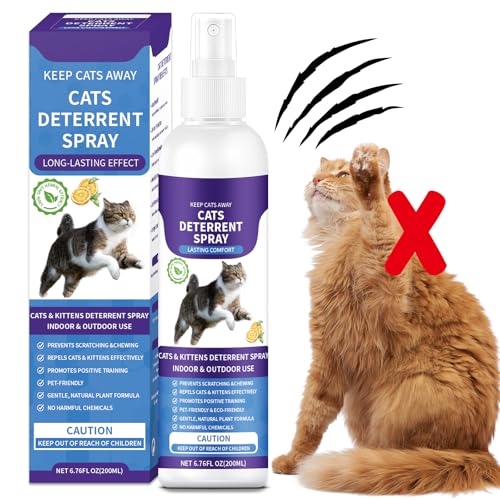 Version 1.0.0 Version 1.0.0