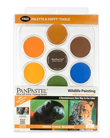 PanPastel Artist Pastels by GOLDEN, Wildlife Painting - Jason Morgan Set, 10 Color, Professional Artist Pastels, Unique Pan Format (cake-like)
