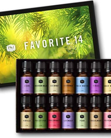 P&J Trading Fragrance Oil Favorite Set | Candle Scents for Candle Making, Freshie Scents, Soap Making Supplies, Diffuser Oil Scents