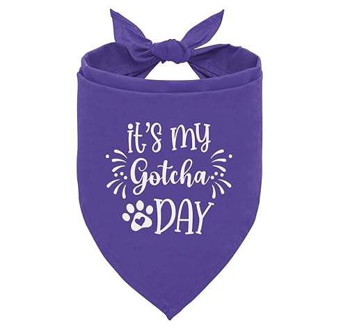 51nyMjF59bL._SL500_.jpg 51nyMjF59bL._SL500_.jpg