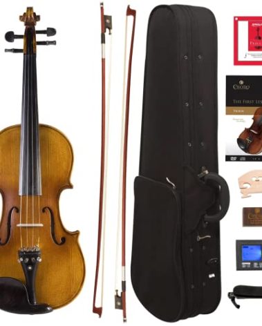 Cecilio Full Size 4/4 Violin with Hard Case & Shoulder Rest - Solidwood Ebony Fitted Violin with D'Addario Strings, Ideal for Beginners