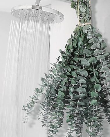 12 PCS Dried Eucalyptus Stems for Shower - 17" Preserved Eucalyptus Stems Shower Plant, Fresh Real Eucalyptus Leaves for Shower Hanging, Home Decor, Dried Flowers