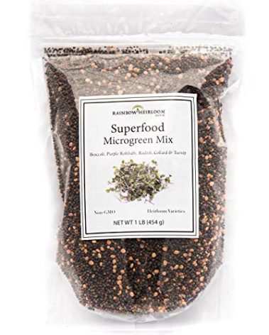 Superfood Microgreen Seeds Mix | for Microgreens Growing Trays | 1 LB | Heirloom Non GMO Purple Kohlrabi, Collard, Radish, Turnip & Broccoli Sprouts Seeds | Rainbow Heirloom Seed Co.