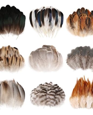 MAOFENG 270pcs 9 Styles Natural Bulk Feathers Assorted Mixed Feathers for DIY Crafts Dream Catcher Wedding Hair Hats Decoration, Guinea Fowl Feathers