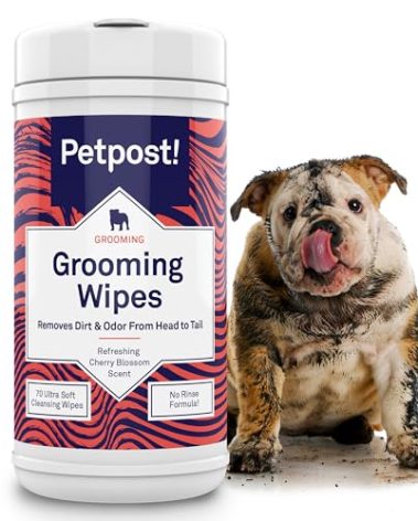 Petpost Large Grooming Wipes for Dogs | 70 Count Deodorizing Dog Cleaning Wipes with Coconut Extract & Aloe | Gentle Pet Wipes with Cherry Blossom Scent for Full-Body Grooming