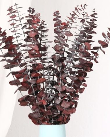 Jtoder 20 Pcs Dried Eucalyptus Stems, 17'' Natural Real Live Red Eucalyptus Leaves Branches Hanging Shower, Preserved Dried Plants for SPA Home Fragrance Bathroom Table Vase Decor