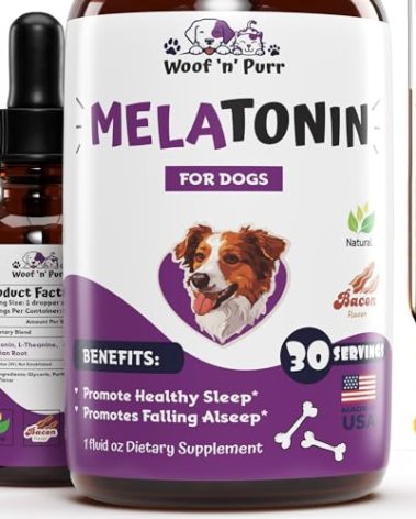 Dog Melatonin - Melatonin for Dogs - Dog Sleep Aid - Sleep Aid for Dogs - Melatonin for Dogs Sleep - Dog Calming - Calming for Dogs - Dog Calming Treats - Dog Anxiety Relief - 1 fl oz: Bacon Flavor