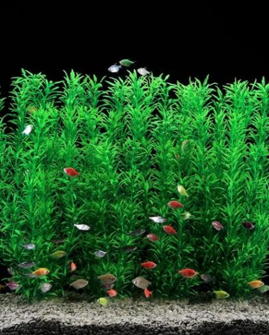 JIHAQUA 2 Pack Aquarium Decor Plastic Plants Extra Large 21 Inches Tall Fish Tank Decorations (Green 4pcs)