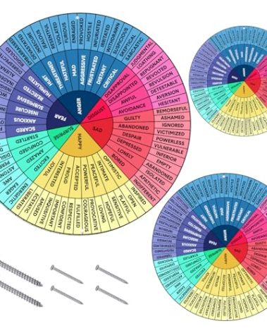 3 Pack Feelings Wheel Aluminum Emotion Wheel Metal Feelings Poster Emotions Charts Calming Corner Therapist Office Decor for Office School Wall Art, 12 Inch, 8 Inch, 6 Inch