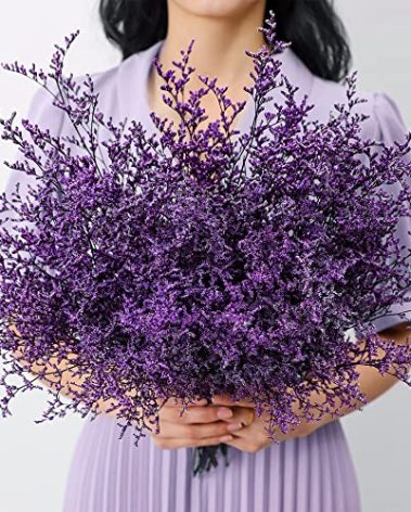 Preserved Natural Limonium Bouquet, 25+ Stems Real Fresh Caspia Bellidifolium, Sea Lavender, Baby Breath Flowers, for Wedding Birthday,Home Décor, Mother's Day,Valentine’s Day,Rustic Holiday(Purple)